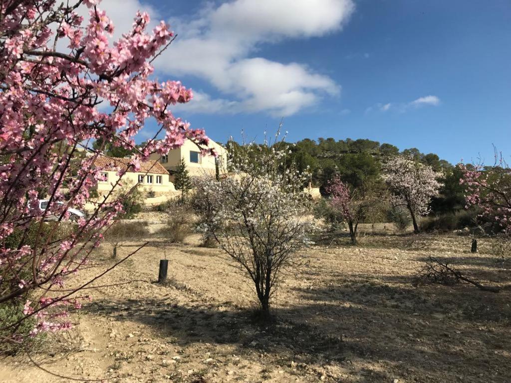 Finca Las Estrellas Relleu Zewnętrze zdjęcie