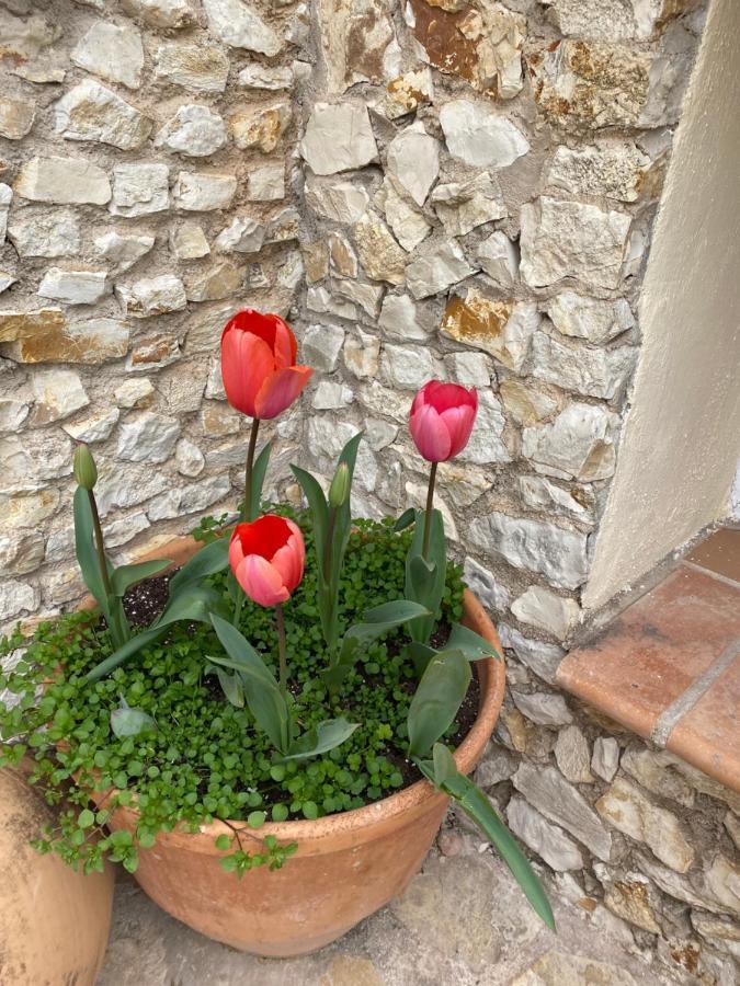 Finca Las Estrellas Relleu Zewnętrze zdjęcie